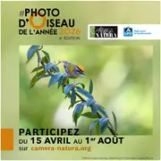 Photo D’oiseau De L’année 2026