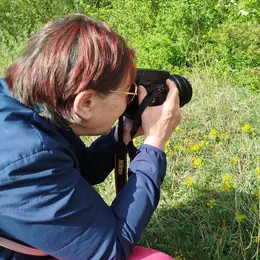 Photographier la nature qui nous entoure