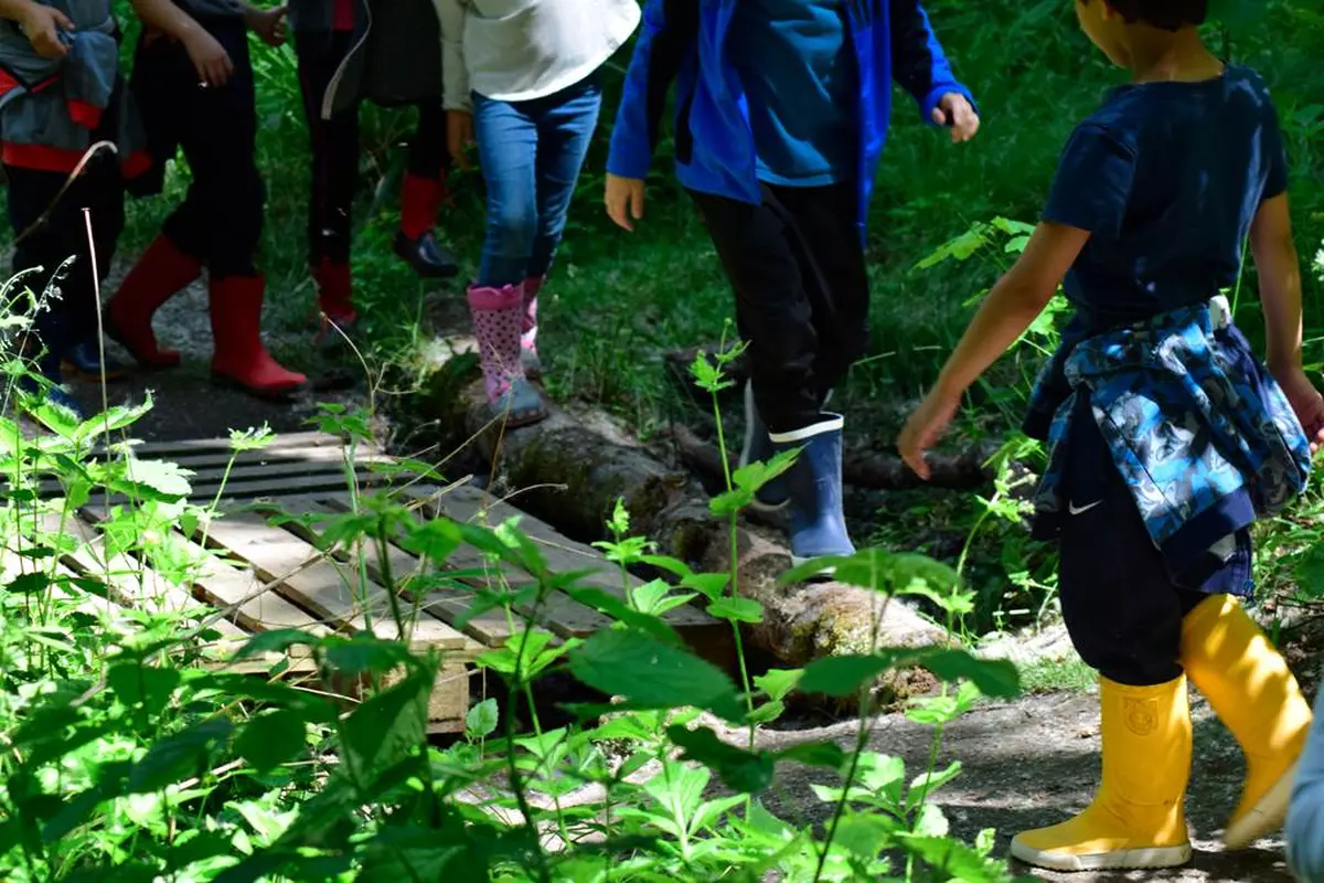 Photographier la petite faune de la mare