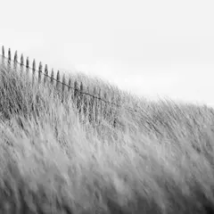Photographies de Nicolas Evariste