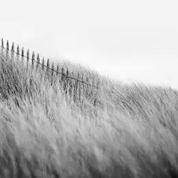 Photographies de Nicolas Evariste