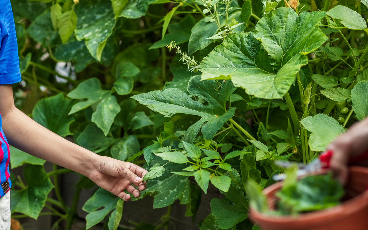 Photowalk : Nation Photo x Jardin21