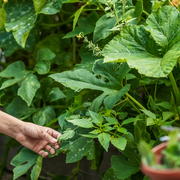 Photowalk : Nation Photo x Jardin21