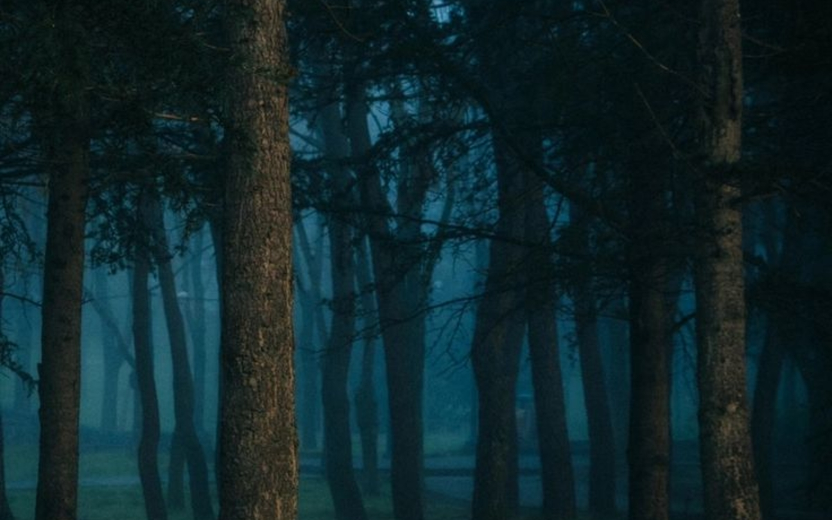 Pièce de théâtre : ADN de Dennis Kelly, mis en scène par Jean-Philippe Brayé