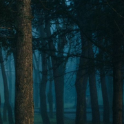 Pièce de théâtre : ADN de Dennis Kelly, mis en scène par Jean-Philippe Brayé