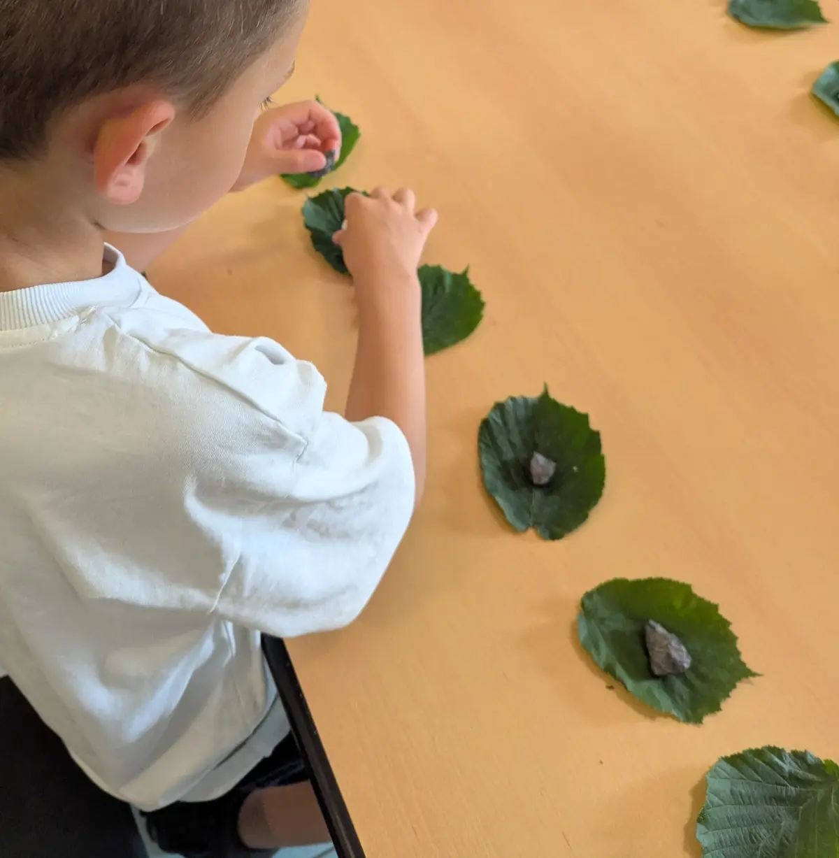 Pierre, feuille, bâton, jouons nature !