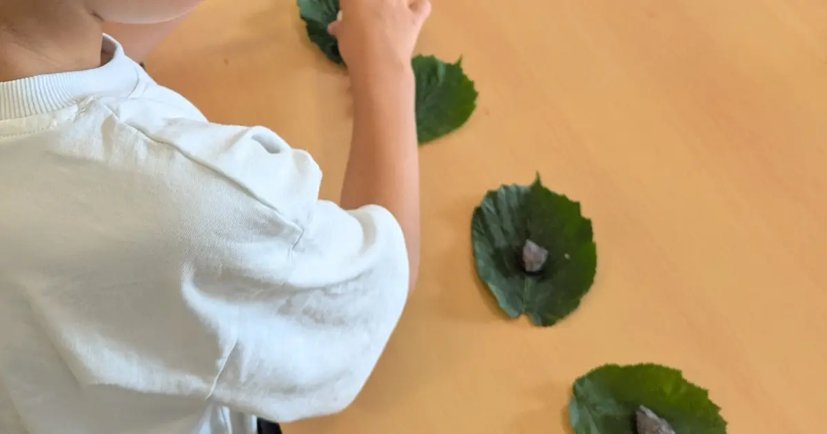 Pierre, feuille, bâton, jouons nature !