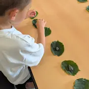 Pierre, feuille, bâton, jouons nature !