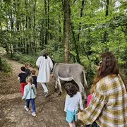PIERRES EN LUMIERES : Contes et légendes au bois des Roches, Rocheville
