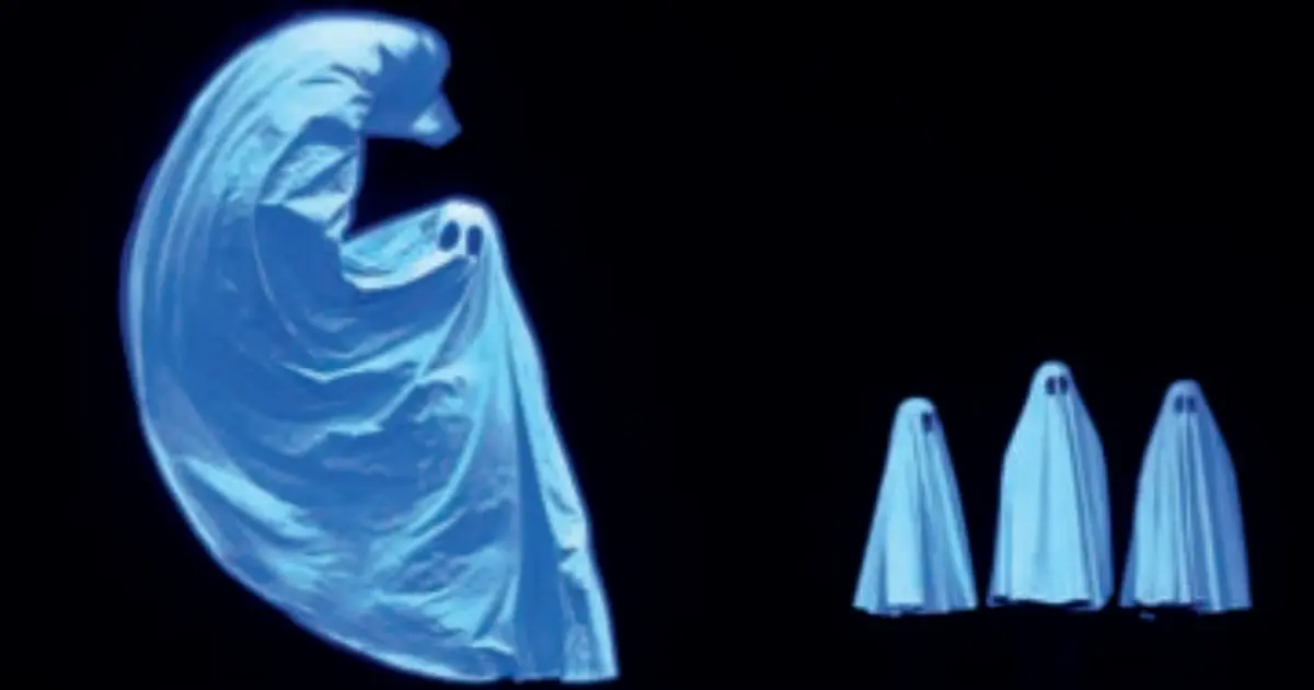 Pillowgraphies