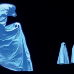 Pillowgraphies