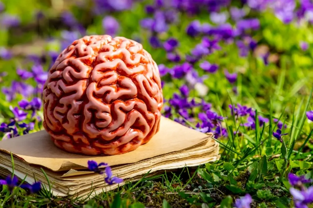 Pint of Science - 19 mai - Soirée pour Curieux à Ons-en-Bray