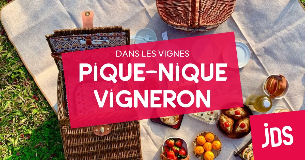 Pique-nique chez le Vigneron Ind&eacute;pendant d&rsquo;Alsace