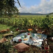 Pique-nique chez le Vigneron Indépendant d’Alsace 2022