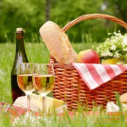 Pique-nique chez le Vigneron Indépendant d’Alsace