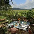 Pique-nique chez les Vignerons Indépendants