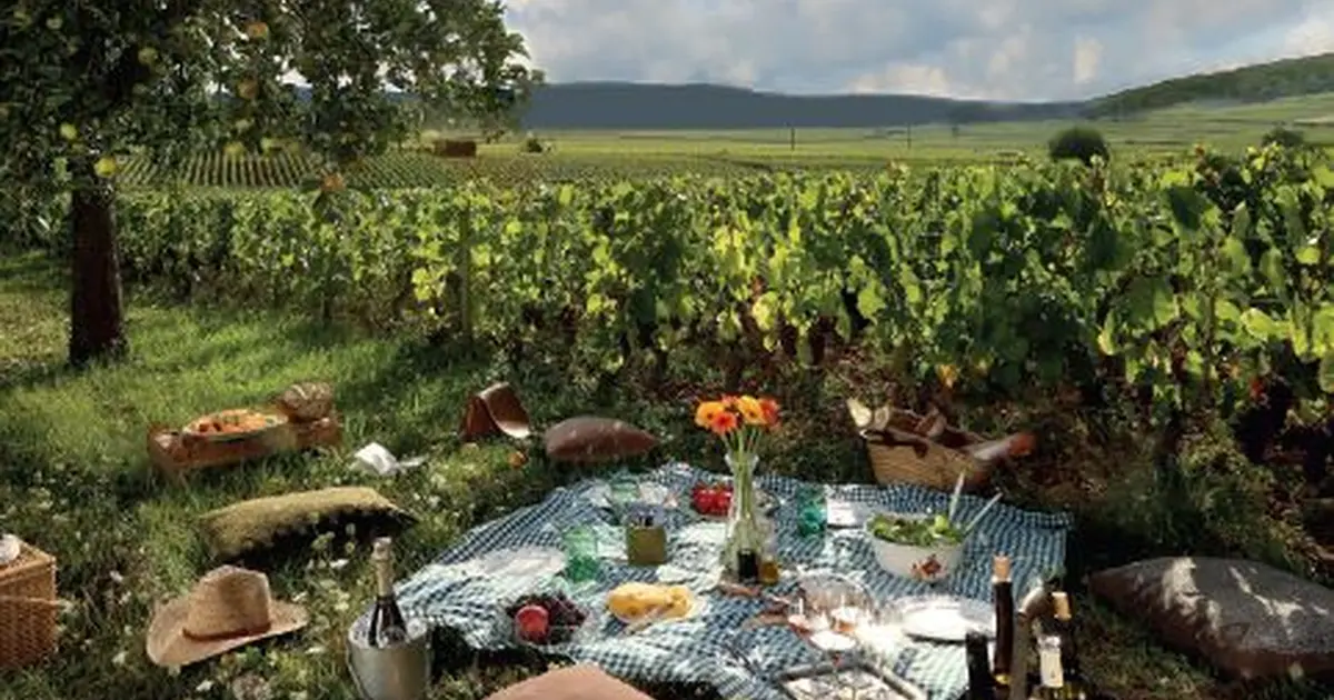 Pique-nique chez les Vignerons Indépendants