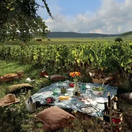 Pique-nique chez les Vignerons Indépendants