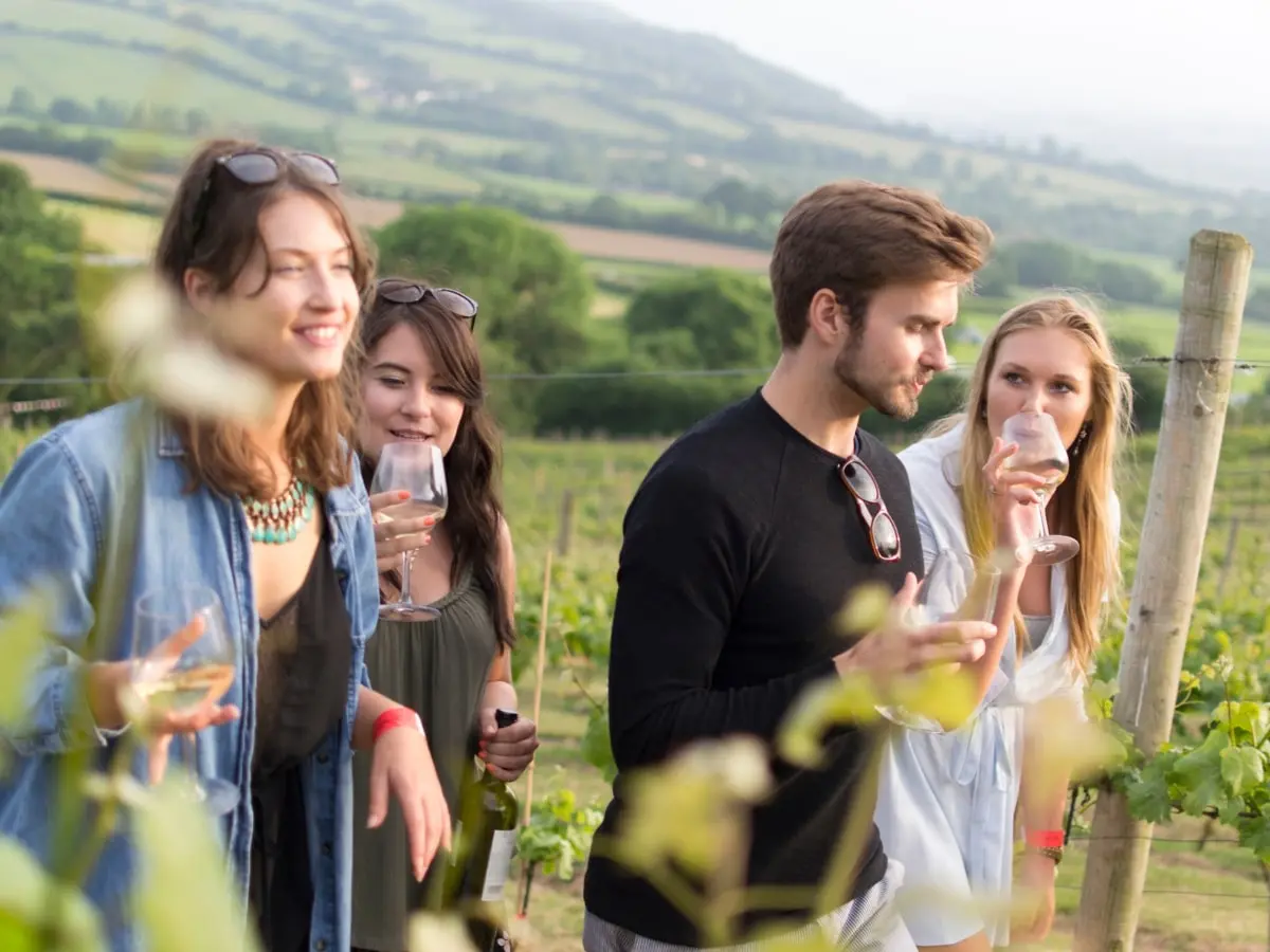 Pique-Nique Chez Les Vignerons Indépendants - Domaine Montaude
