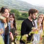 Pique-Nique Chez Les Vignerons Indépendants - Domaine Montaude