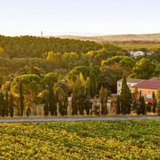 Pique-Nique Chez Les Vignerons Indépendants - Herbe Sainte