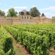 Pique-Nique chez les Vignerons Indépendants® au Château Darmajan des Ormes