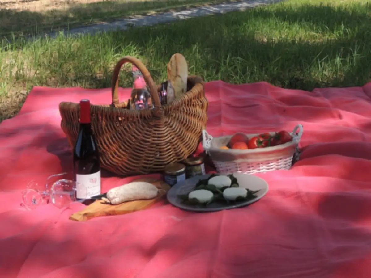 Pique nique dans le petit bois du domaine de la Selve (07)