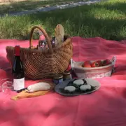 Pique nique dans le petit bois du domaine de la Selve (07)