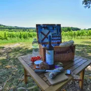 Pique-nique dans les vignes au Château Hostens-Picant