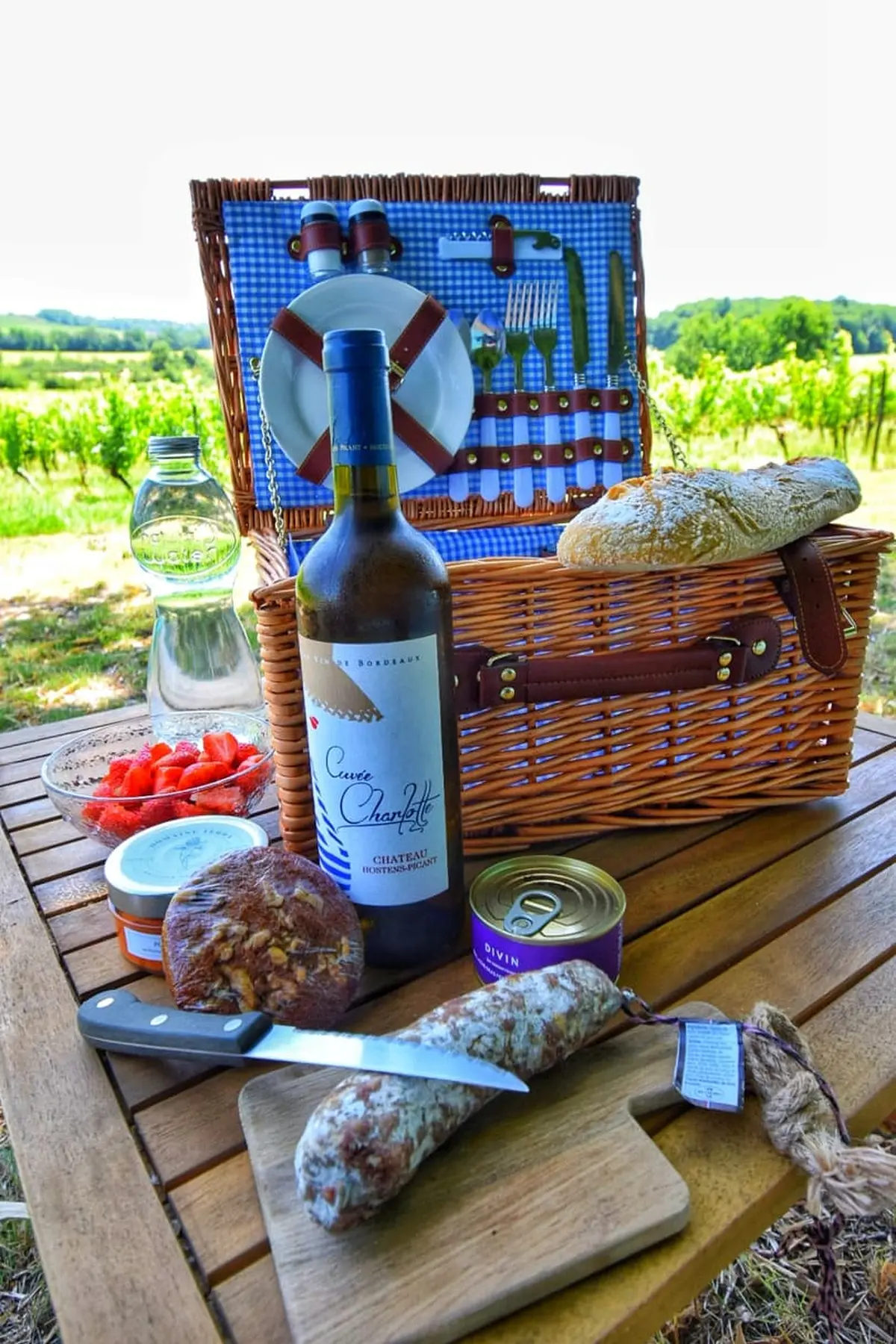 Pique-nique dans les vignes au Château Hostens-Picant