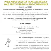 Pique-nique dans les vignes au Mas de Gourgonnier