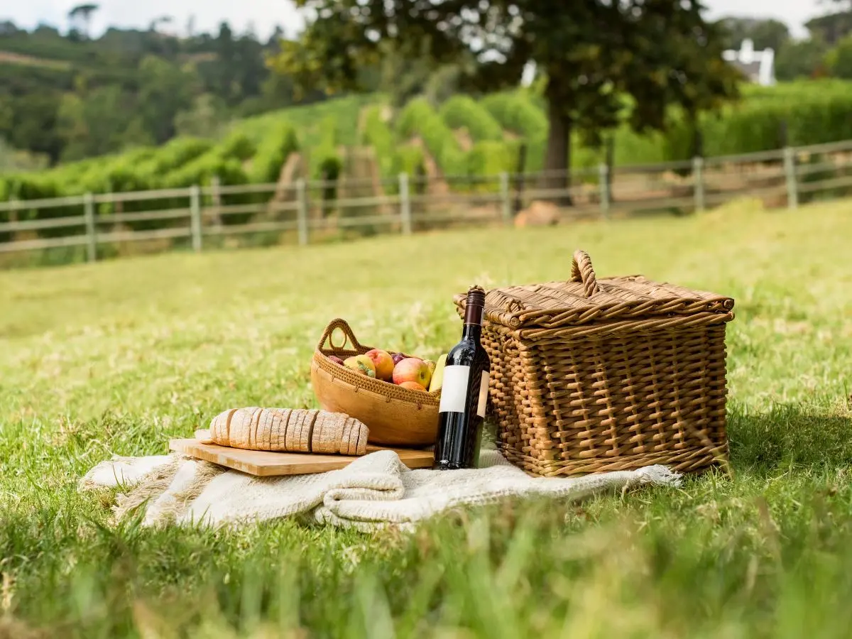 Pique-Nique Des Vignerons Indépendants - Domaine De Martinolle-Gasparets