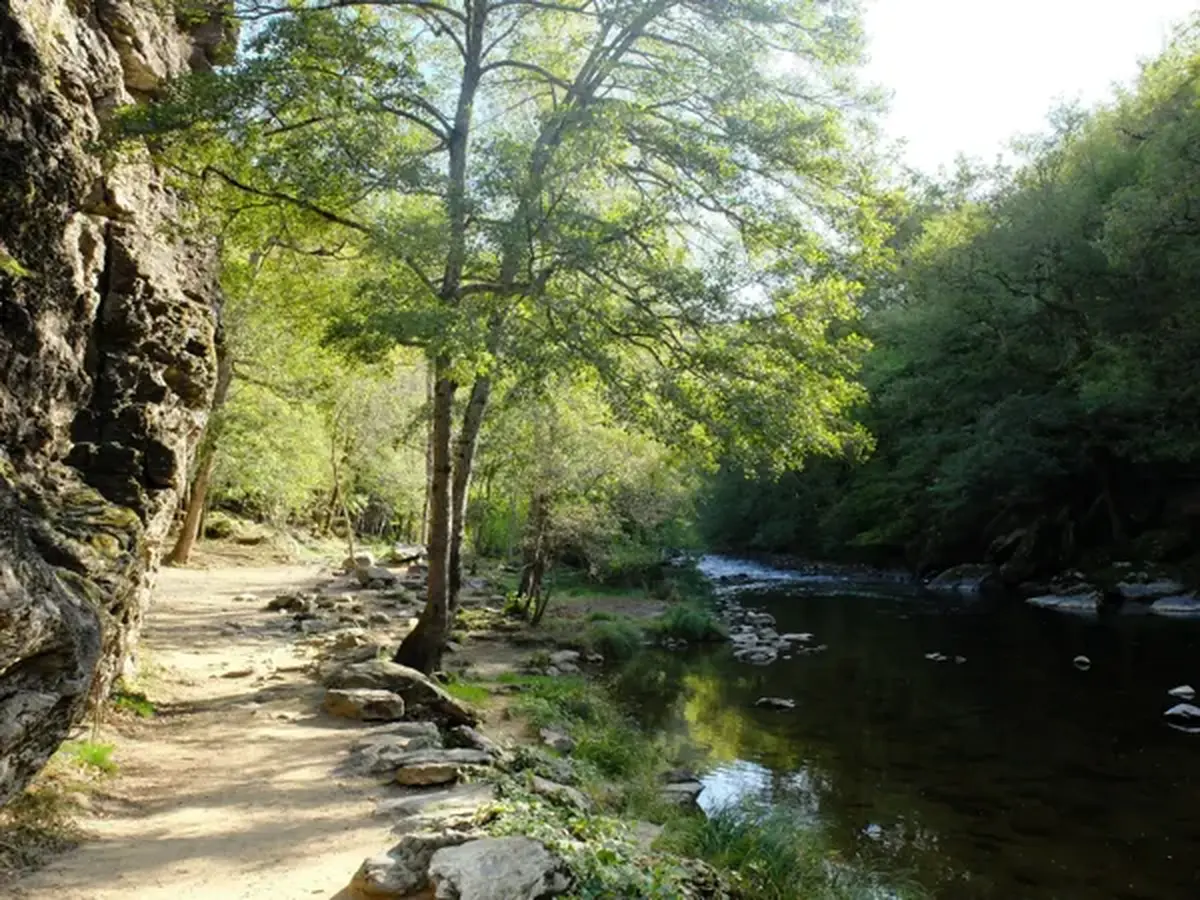 Pique-nique et balade canoë le long du Viaur à Bor-et-Bar