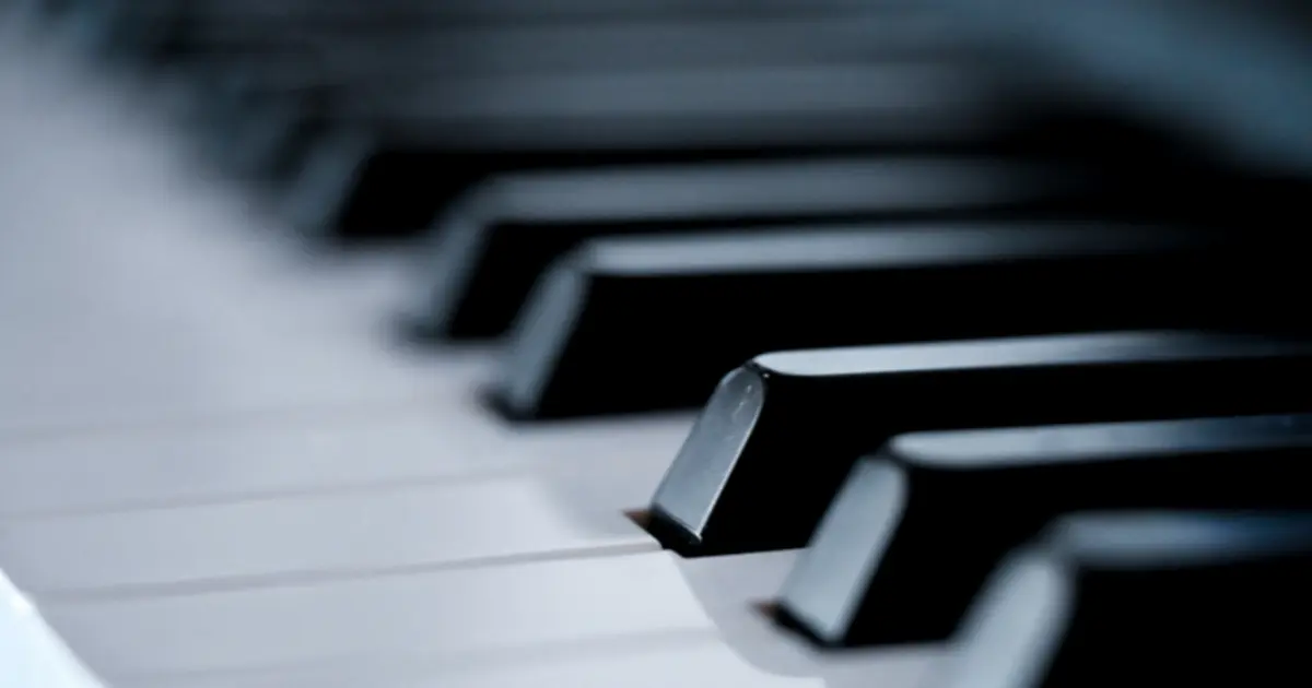 Pique-nique musical du centre d'enseignement artistique de l'estuaire