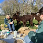 Top 6 des idées sorties pour ce week-end à Le Havre (du 6 au 8 mars 2026)