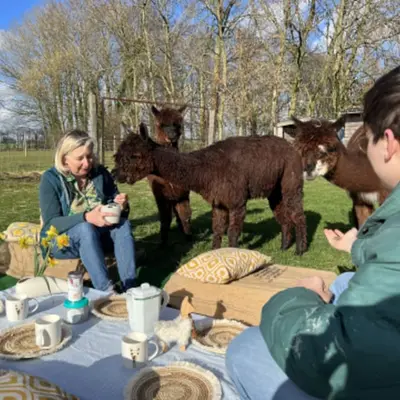 Le Havre : nos 6 idées sorties du week-end