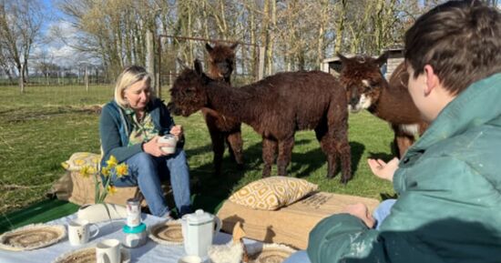 Top 6 des id&eacute;es sorties pour ce week-end &agrave; Le Havre (du 6 au 8 mars 2026)