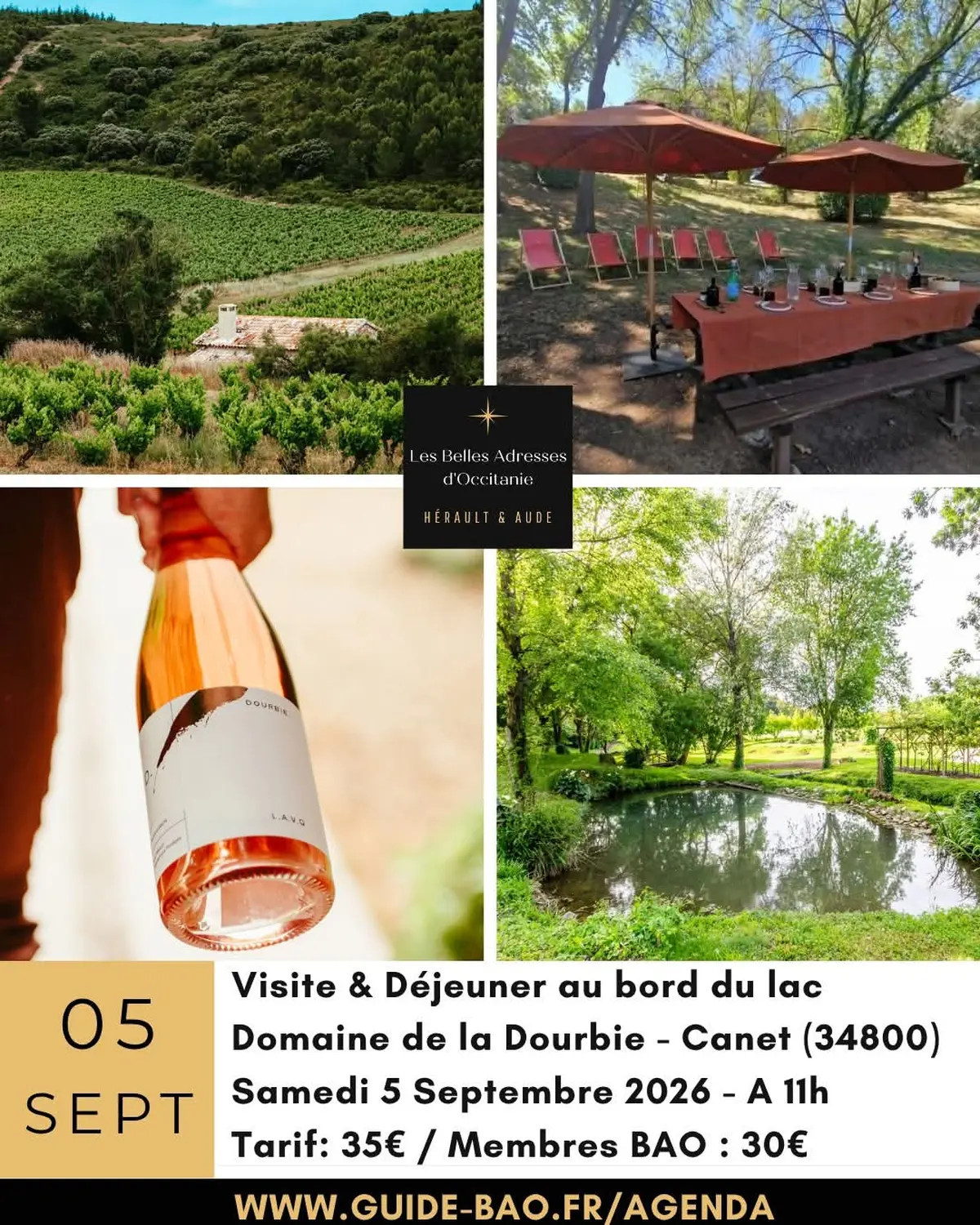 Pique Nique Vigneron Au Bord Du Lac