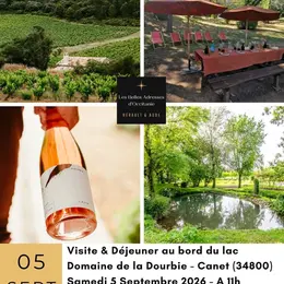 Pique Nique Vigneron Au Bord Du Lac