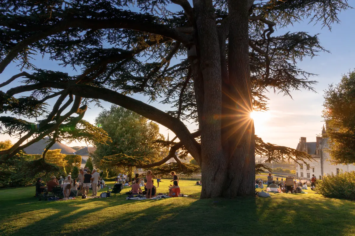 Pique-niques panoramiques au château royal d'Amboise