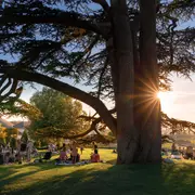 Pique-niques panoramiques au château royal d'Amboise