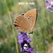Pistons la nature #RDVduParc