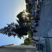 Place Au Terroir - Saint Pargoire