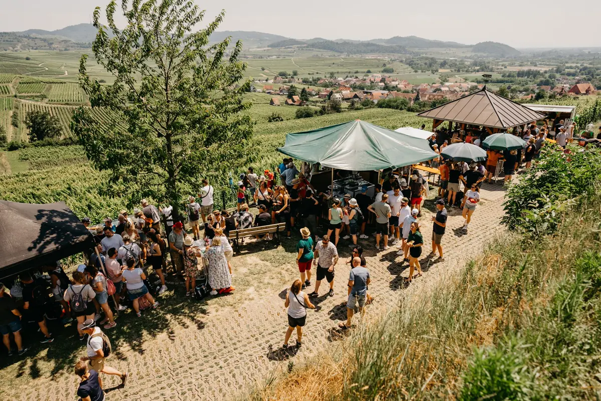 Plaisir, nature et vins de Bourgogne : le circuit « Kaiserstühler Burgundertour 2026 » vous invite à la découverte à Vogtsburg-Bischoffingen