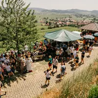 Plaisir, nature et vins de Bourgogne : le circuit « Kaiserstühler Burgundertour 2026 » vous invite à la découverte à Vogtsburg-Bischoffingen DR