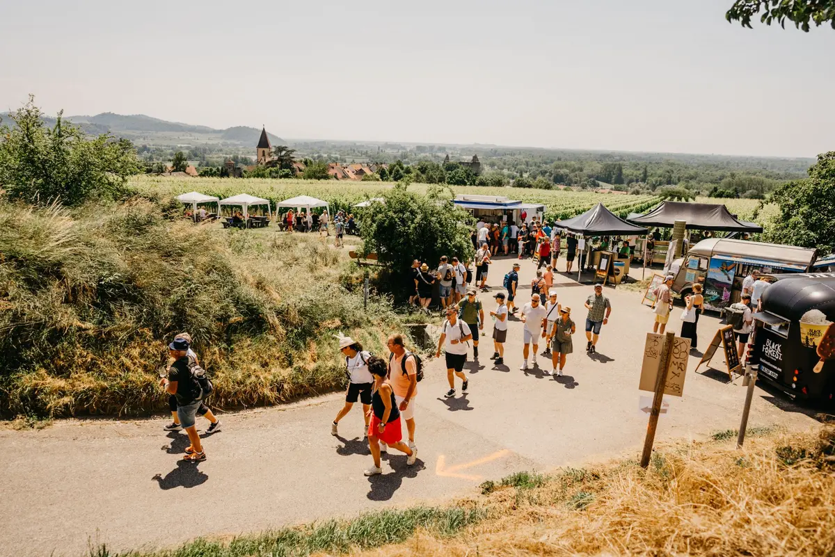 Plaisir, nature et vins de Bourgogne : le circuit « Kaiserstühler Burgundertour 2026 » vous invite à la découverte à Vogtsburg-Bischoffingen