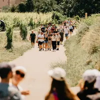 Plaisir, nature et vins de Bourgogne : le circuit « Kaiserstühler Burgundertour 2026 » vous invite à la découverte à Vogtsburg-Bischoffingen DR