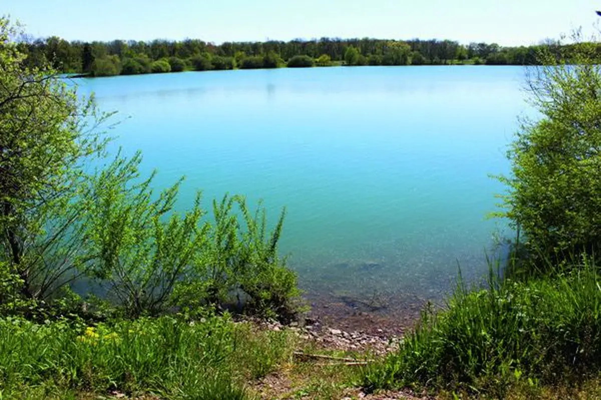 Le plan d'eau de Burnaupt-Le-Bas