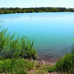 Top 5 des plans d'eau pour profiter de la fraîcheur