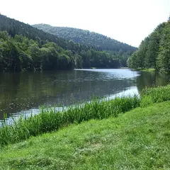 Plan d'eau du Fleckenstein
